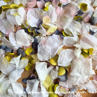 Petal Confetti hydrangea - White Green Dusty Blue lemon blush