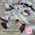 Petal Confetti hydrangea + Eucalyptus White Mahogany