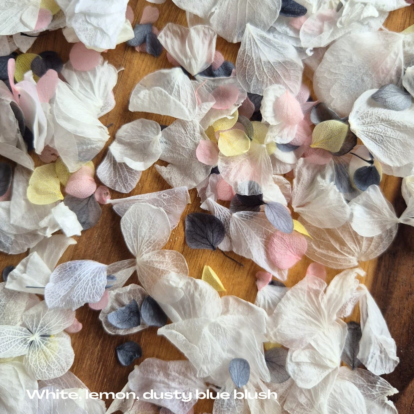 Petal Confetti hydrangea - White Dusty Blue lemon blush