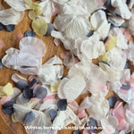 Petal Confetti hydrangea - White Dusty Blue lemon blush