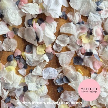 Petal Confetti hydrangea - White Dusty Blue lemon blush