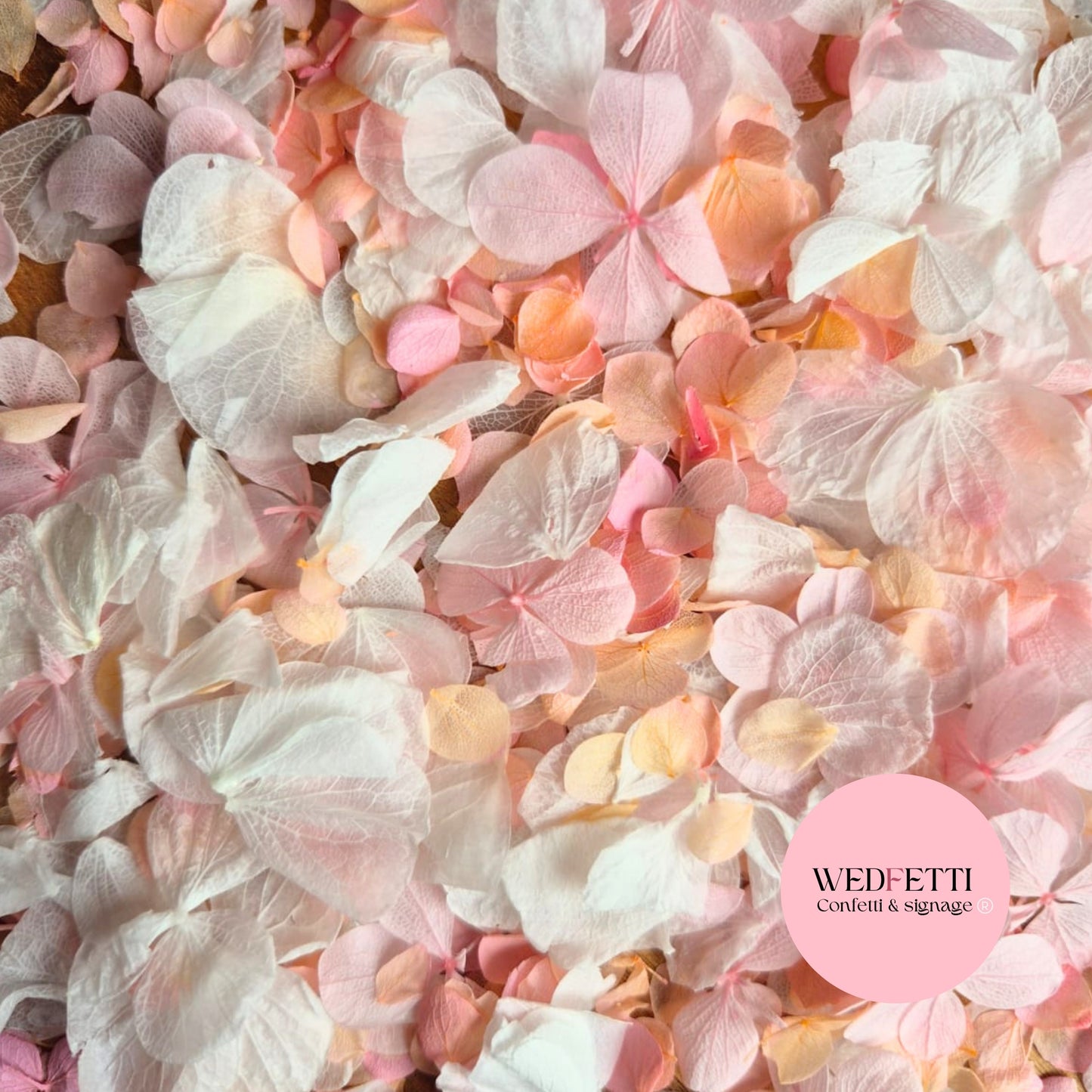 Petal Confetti hydrangea - Peach Pink gradient white + Pink FlutterFly®