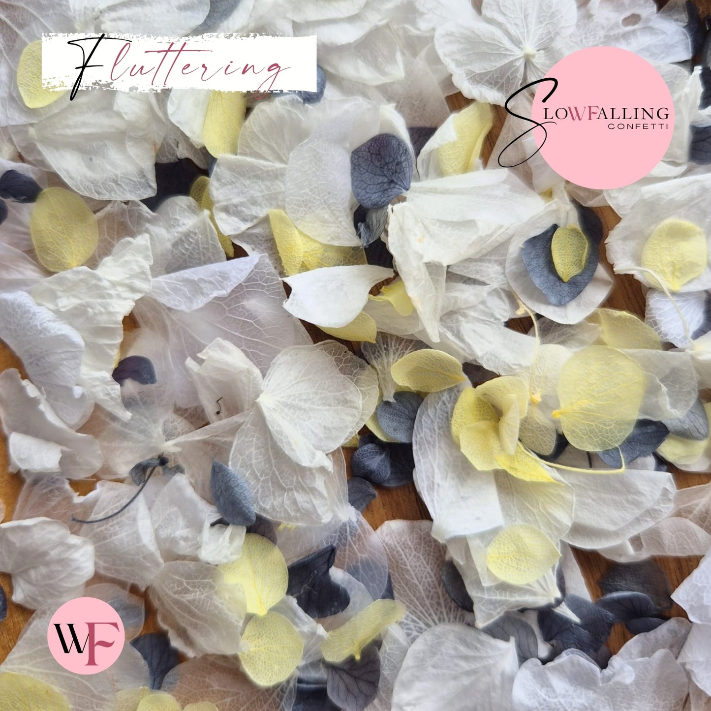 Petal Confetti hydrangea - Dusty Blue Lemon White