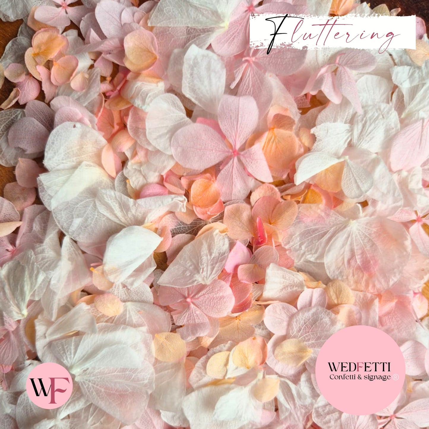 Petal Confetti hydrangea - Peach Pink gradient white + Pink FlutterFly®