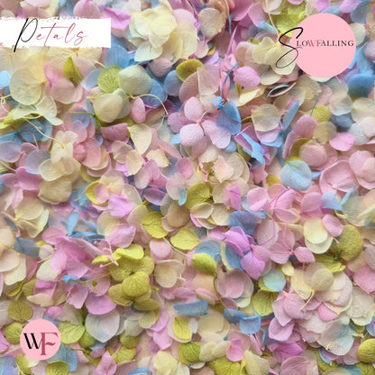 Snow Petal Confetti® - Pastel Party