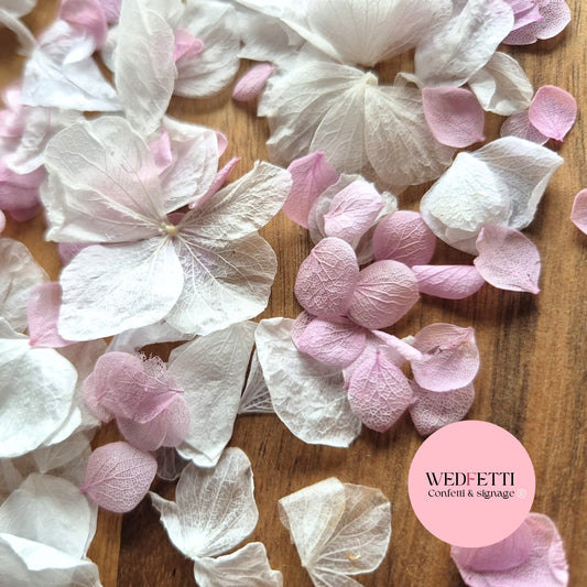 Petal Confetti hydrangea - Dusty Pink White Hydrangea Mix
