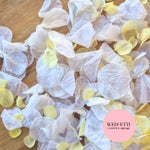 Petal Confetti hydrangea - Lemon White