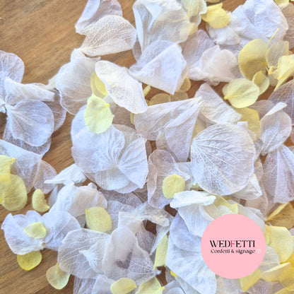Petal Confetti hydrangea - Lemon White