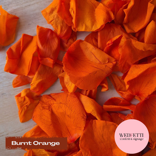 Rose Petals - Burnt Orange