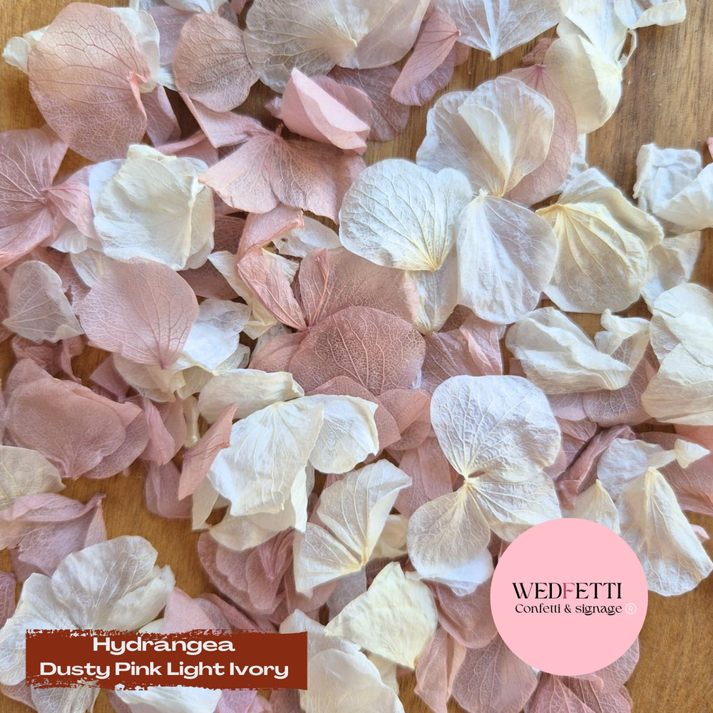Petal Confetti hydrangea - Dusty Pink Light Ivory