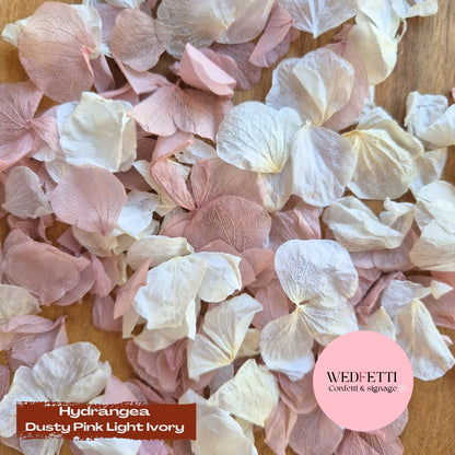 Petal Confetti hydrangea - Dusty Pink Light Ivory