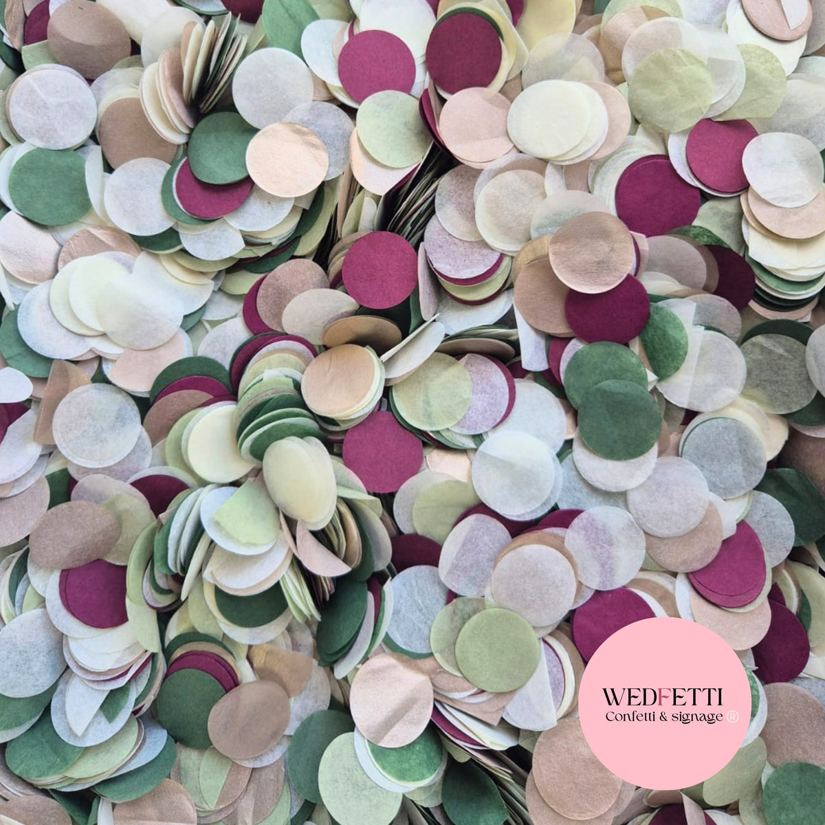 Circles Large 2.5cm Biodegradable - Light Rose Gold Light Ivory Light Sage Forest PlumB