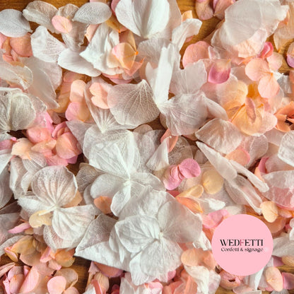 Petal Confetti hydrangea - Peach Pink gradient white