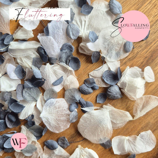 Petal Confetti hydrangea - Dusty Blue White