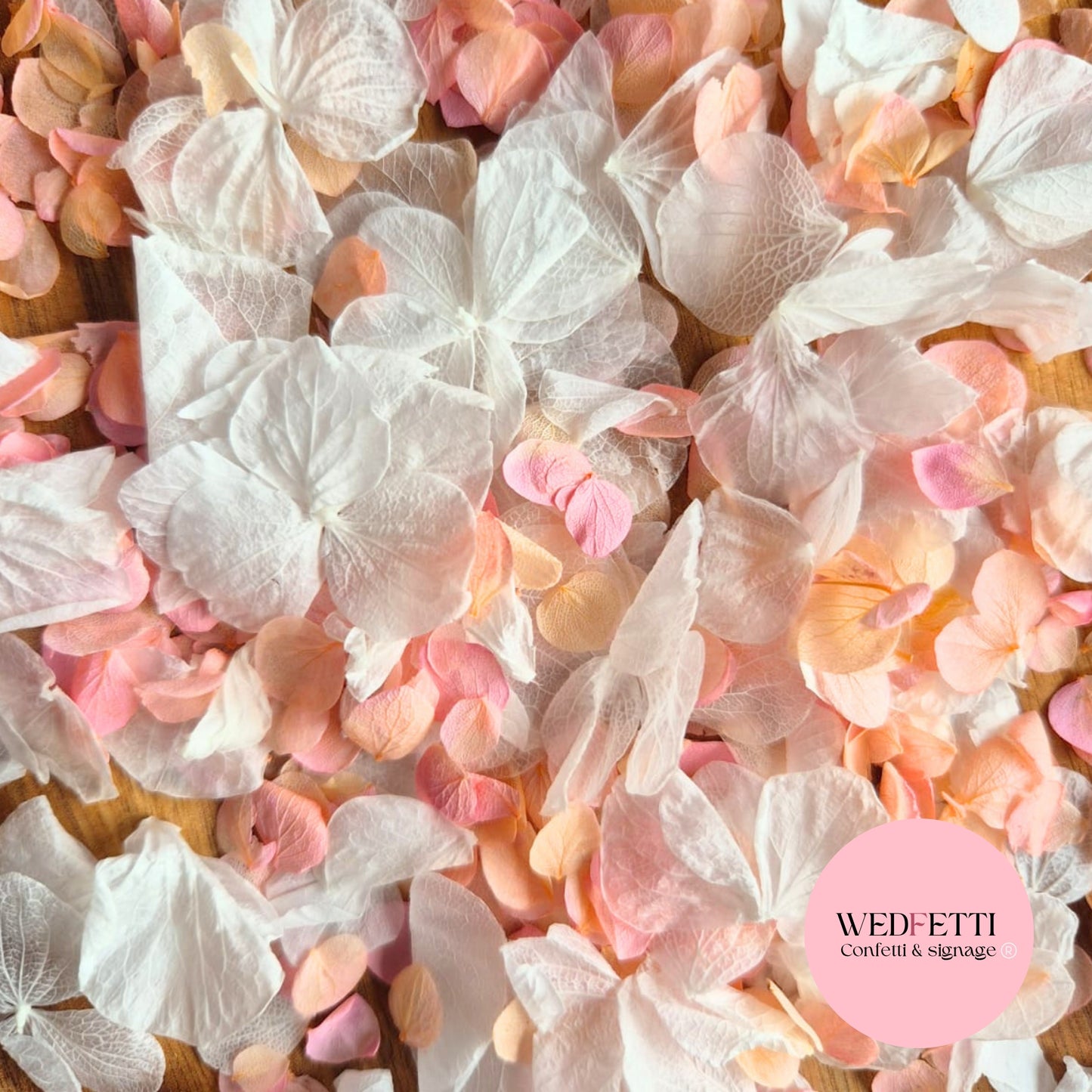 Petal Confetti hydrangea - Peach Pink gradient white