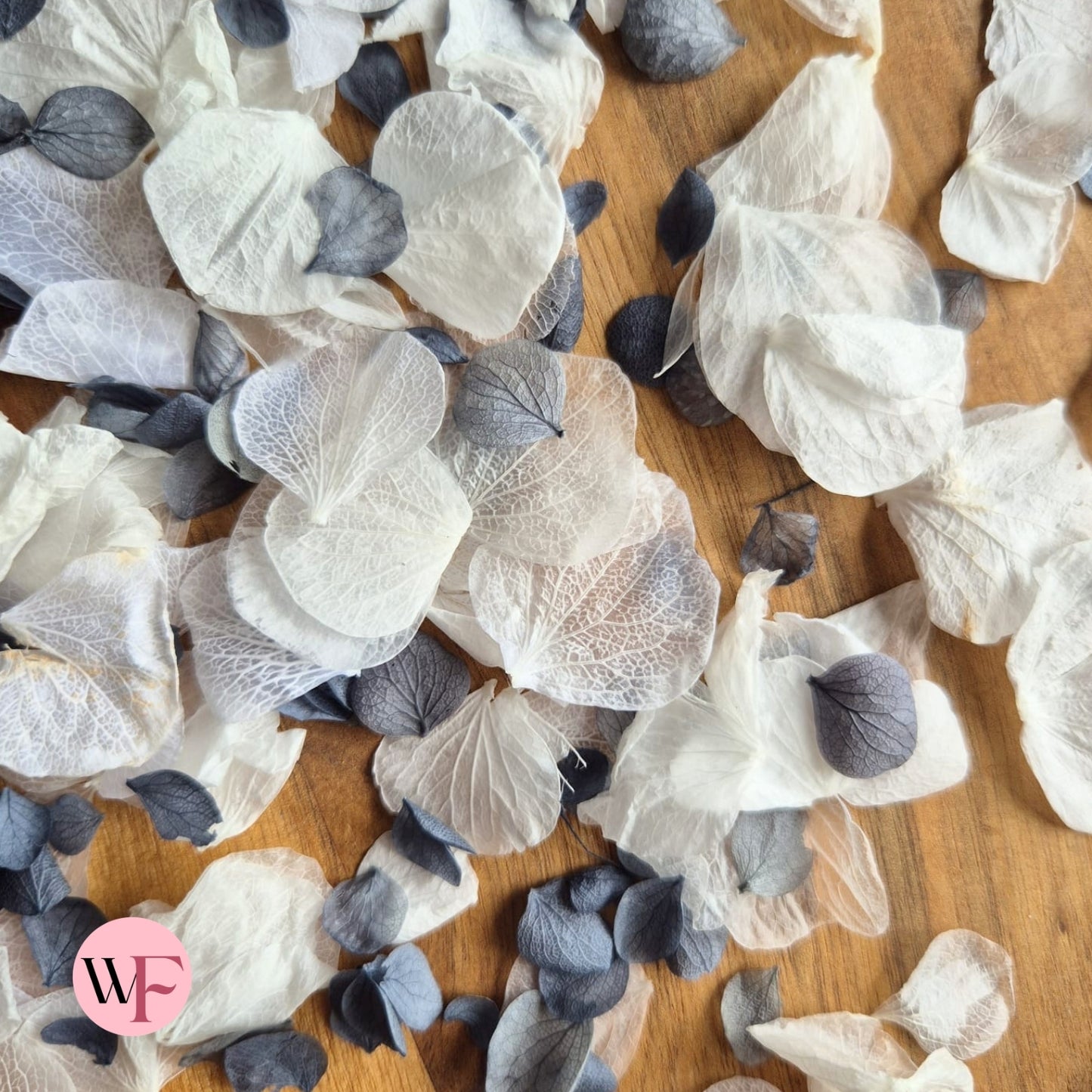 Petal Confetti hydrangea - Dusty Blue White