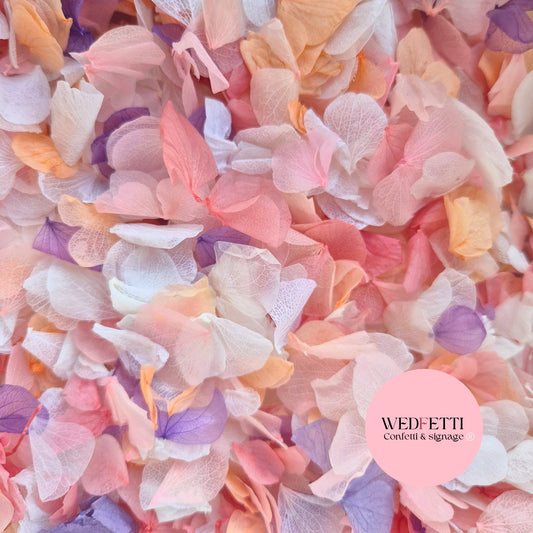 Petal Confetti hydrangea - Double pink pastel peach