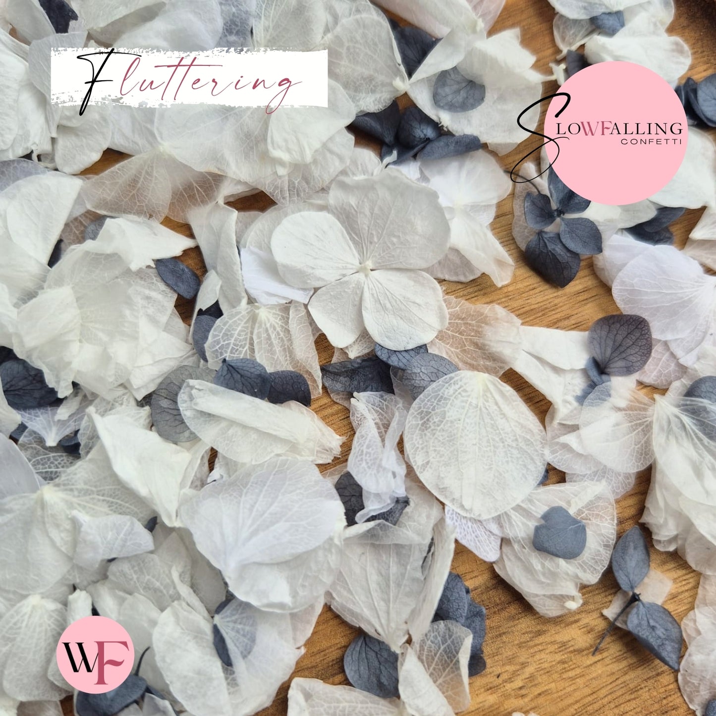Petal Confetti hydrangea - Dusty Blue White