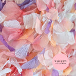 Petal Confetti hydrangea - Double pink pastel peach