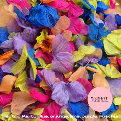 Petal Confetti hydrangea - Electric Party petals