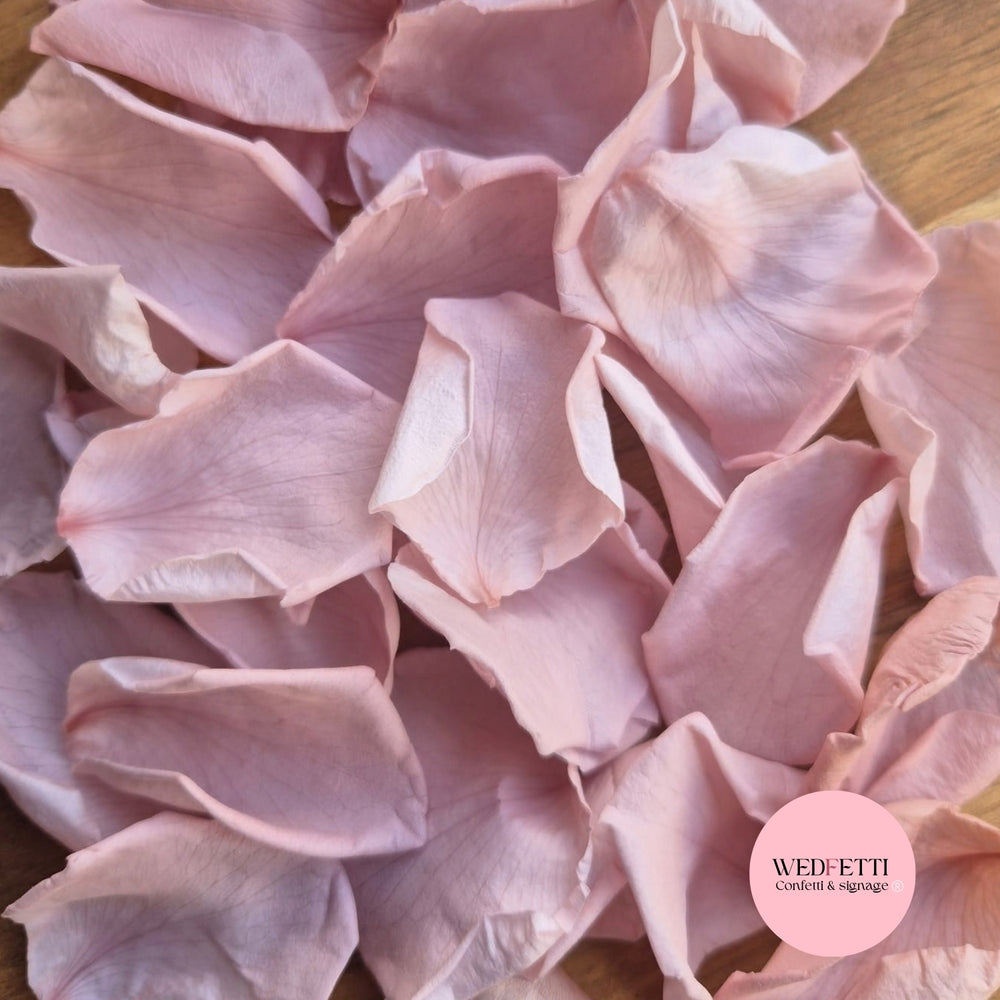 Rose Petals - Dusty Blush Pink