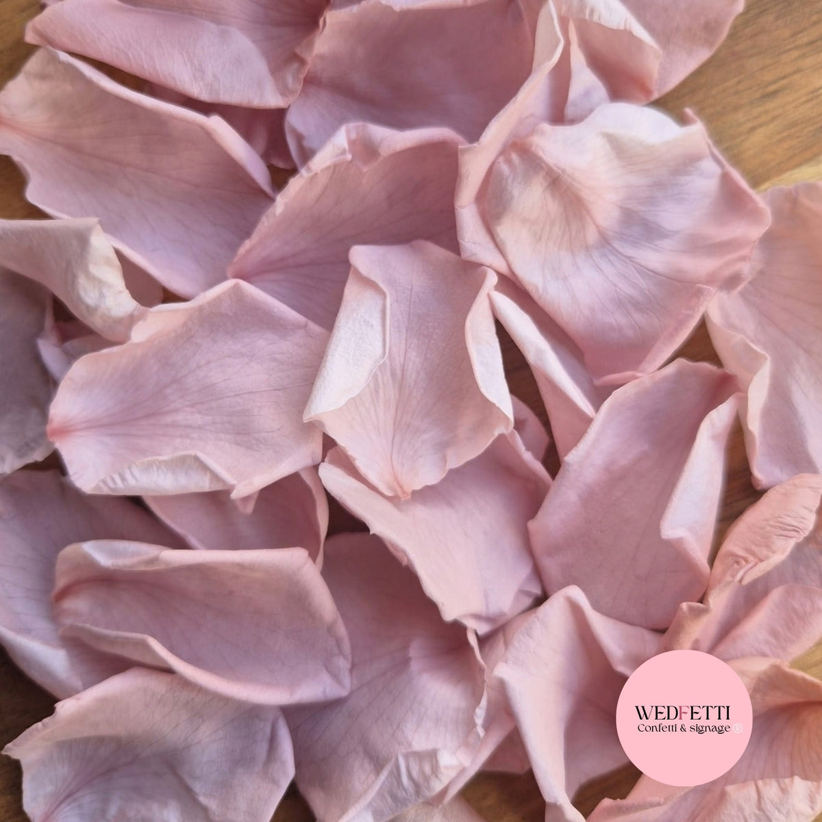 Rose Petals - Dusty Blush Pink