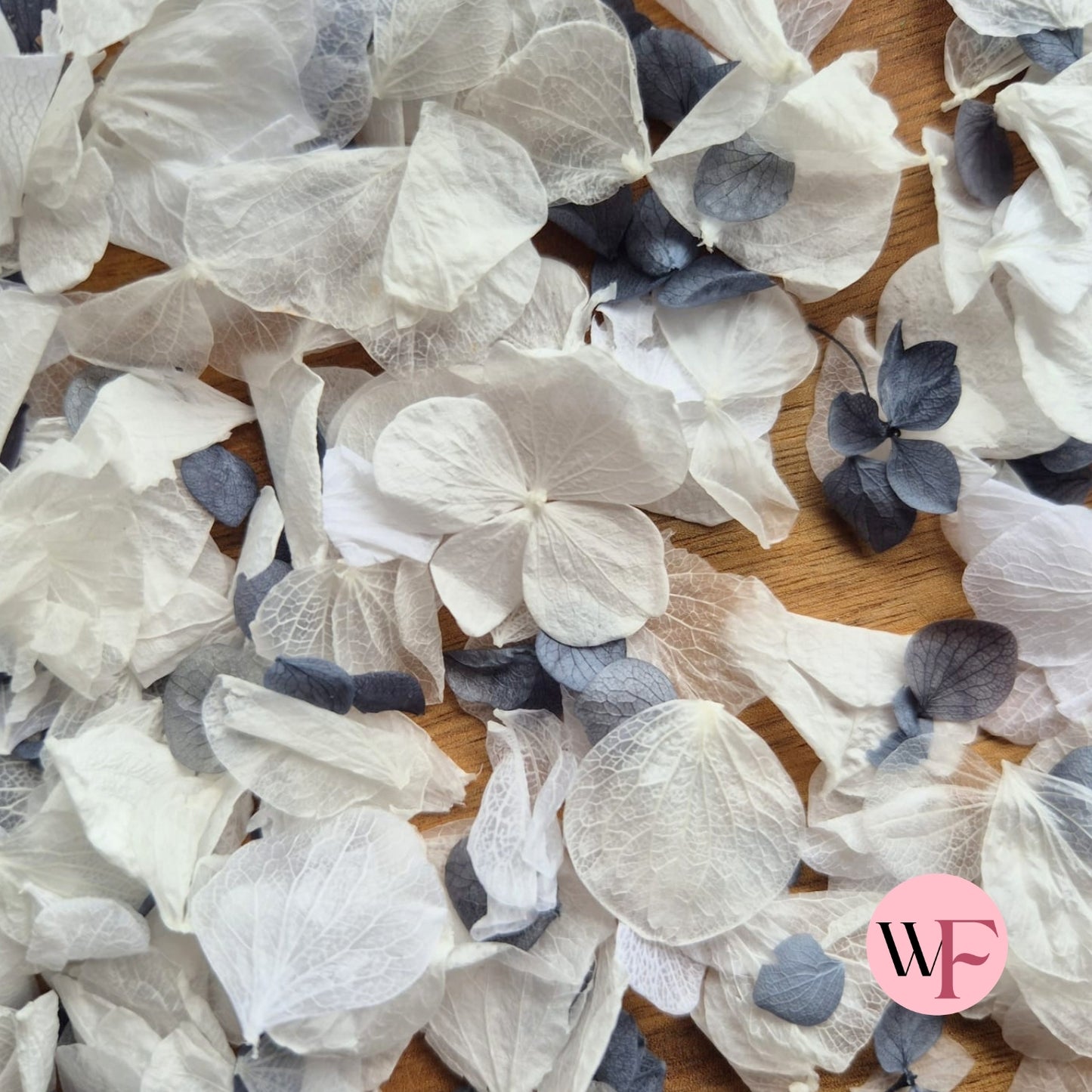 Petal Confetti hydrangea - Dusty Blue White