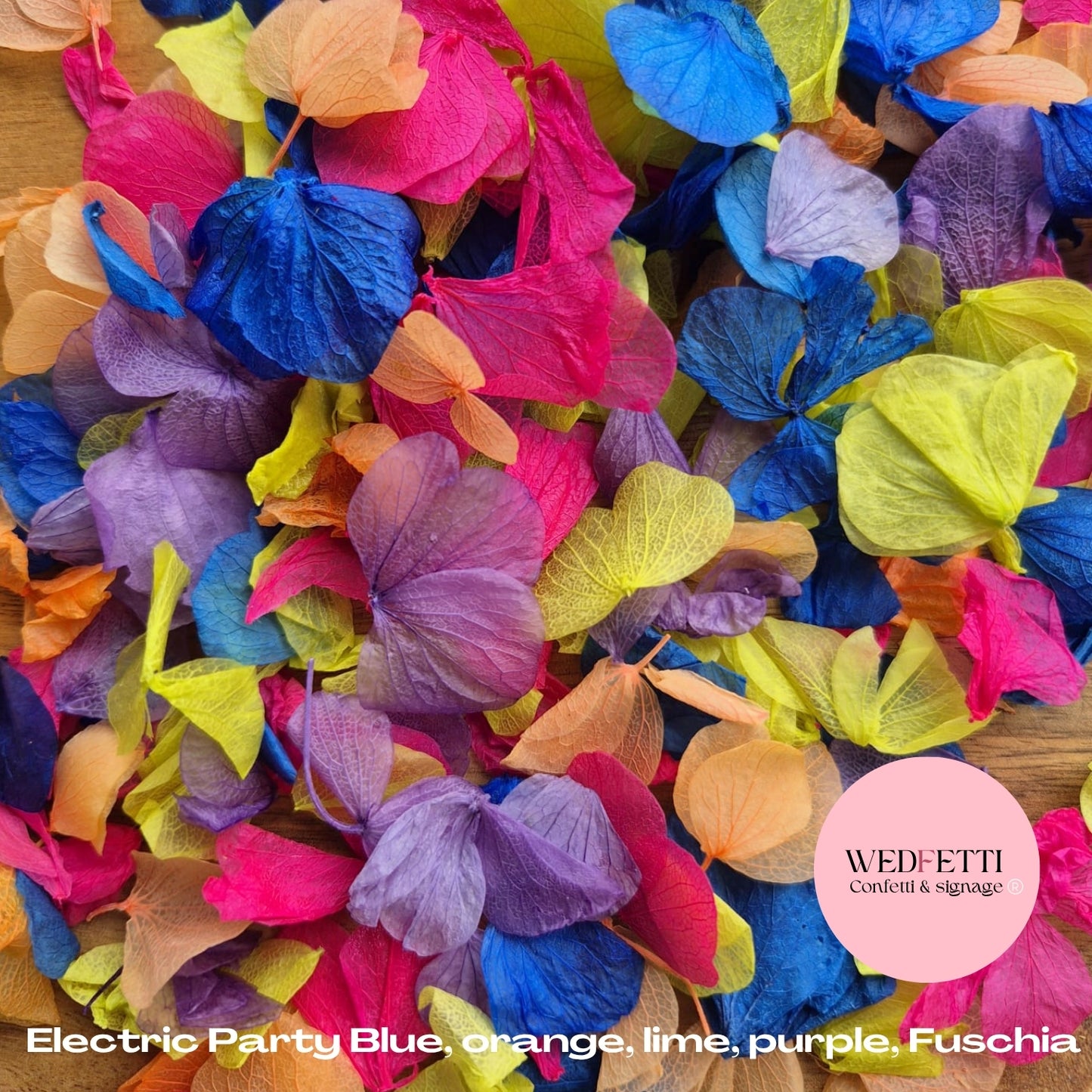 Petal Confetti hydrangea - Electric Party petals