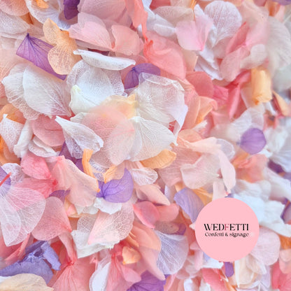 Petal Confetti hydrangea - Double pink pastel peach