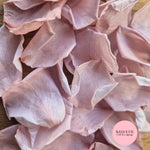 Rose Petals - Dusty Blush Pink