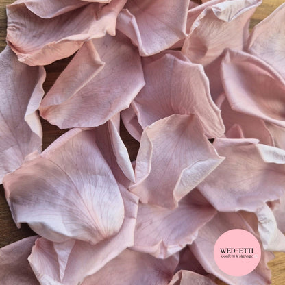 Rose Petals - Dusty Blush Pink
