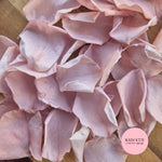 Rose Petals - Dusty Blush Pink