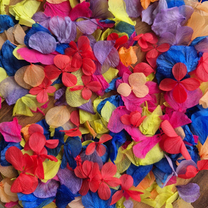 Petal Confetti hydrangea - Electric Party + Red FlutterFly Petals