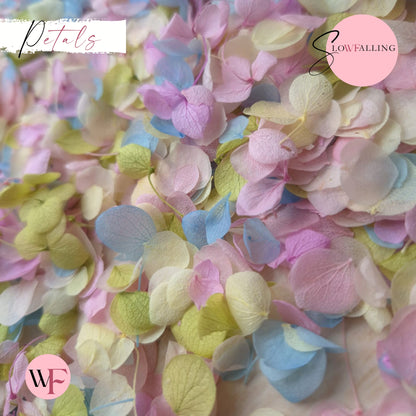 Snow Petal Confetti® - Pastel Party