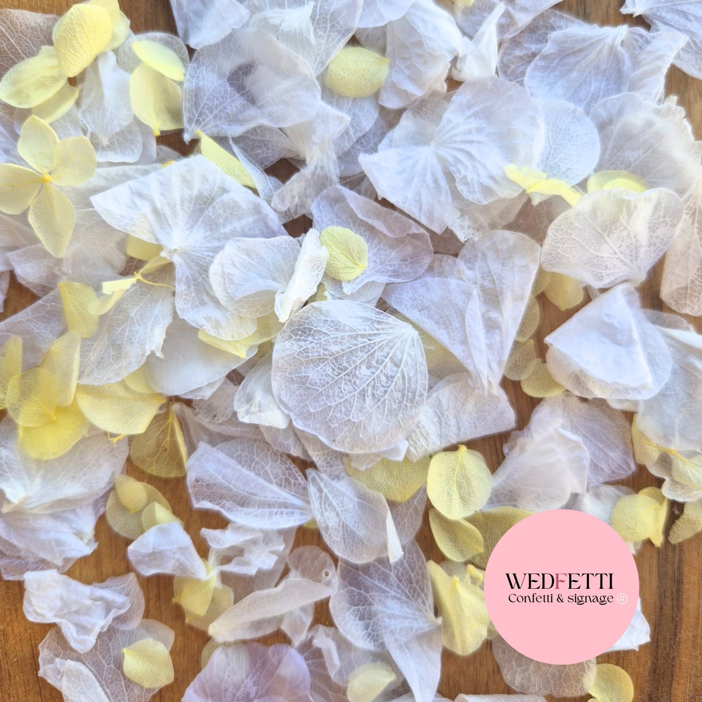 Petal Confetti hydrangea - Lemon White