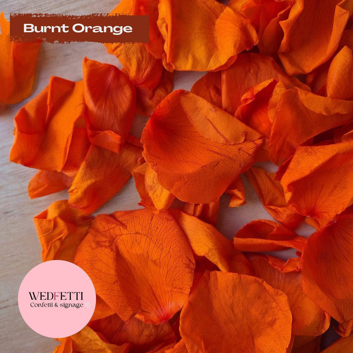 Rose Petals - Burnt Orange