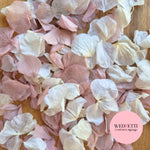 Petal Confetti hydrangea - Dusty Pink Light Ivory