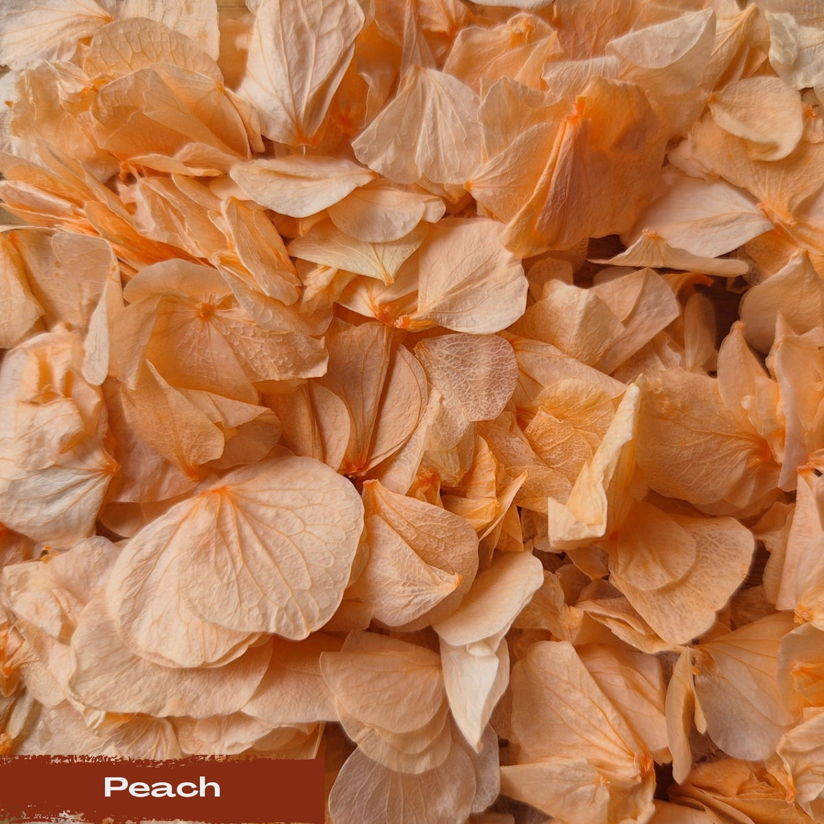 Create your own custom Hydrangea Petal Confetti mix