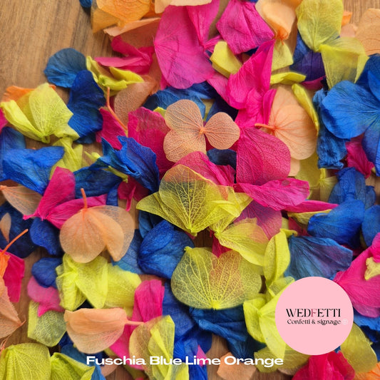 Petal Confetti hydrangea - Blue Orange Lime Fuschia