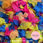 Petal Confetti hydrangea - Blue Orange Lime Fuschia