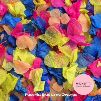 Petal Confetti hydrangea - Blue Orange Lime Fuschia
