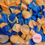 Petal Confetti hydrangea - Blue Orange