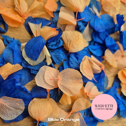 Petal Confetti hydrangea - Blue Orange