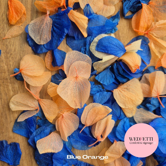 Petal Confetti hydrangea - Blue Orange