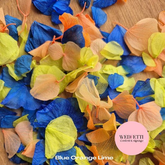 Petal Confetti hydrangea - Blue Orange Lime