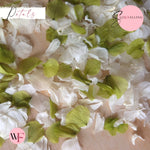 Petal Confetti hydrangea - White Apple Sage
