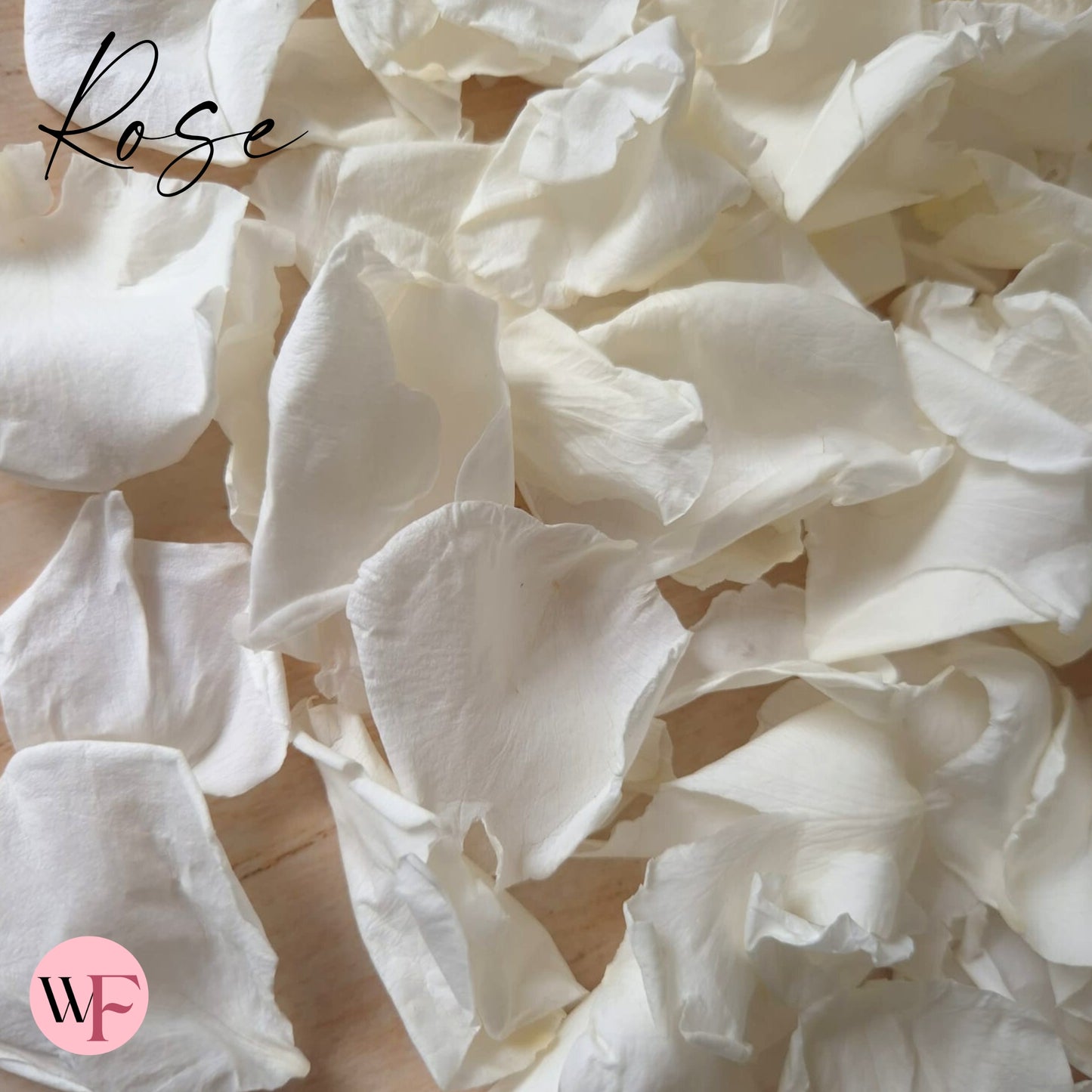 Rose Petals - Light Ivory White