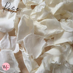 Rose Petals - Light Ivory White