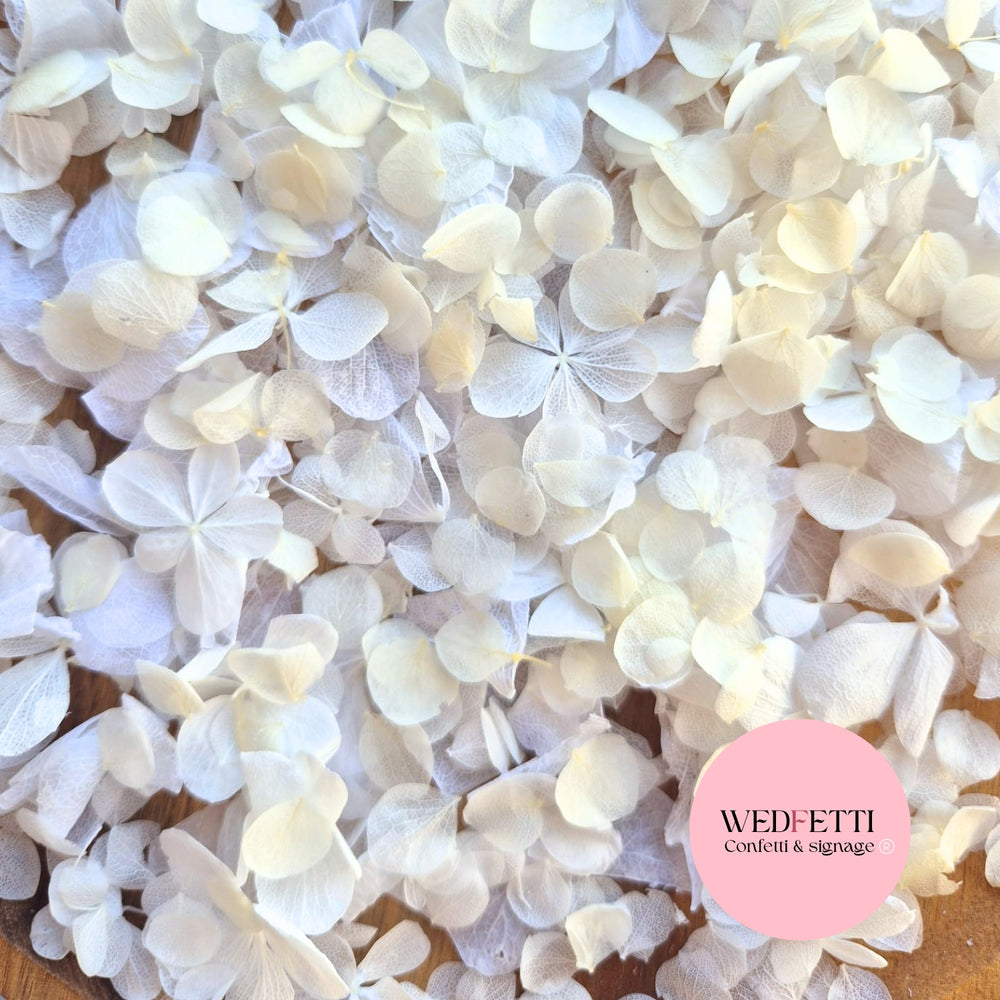 Petal Confetti hydrangea - All The Whites + Light Ivory SnowPetal