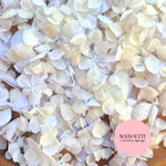 Petal Confetti hydrangea - All The Whites + Light Ivory SnowPetal